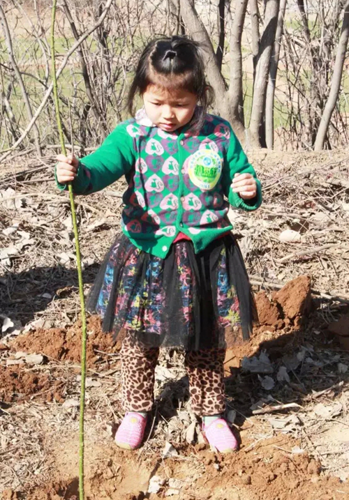 首页-tyc太阳城集团公司官网