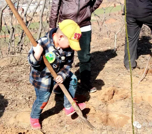 首页-tyc太阳城集团公司官网